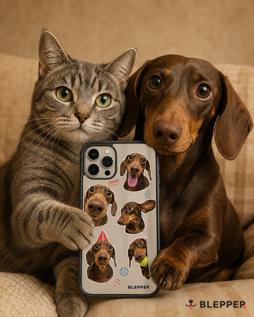 Blepper Custom Mirror Phone Case